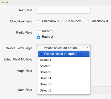 Custom Fields